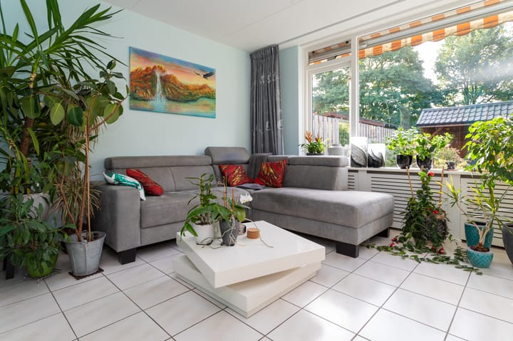 Foto 5 van Dorsvlegel 10