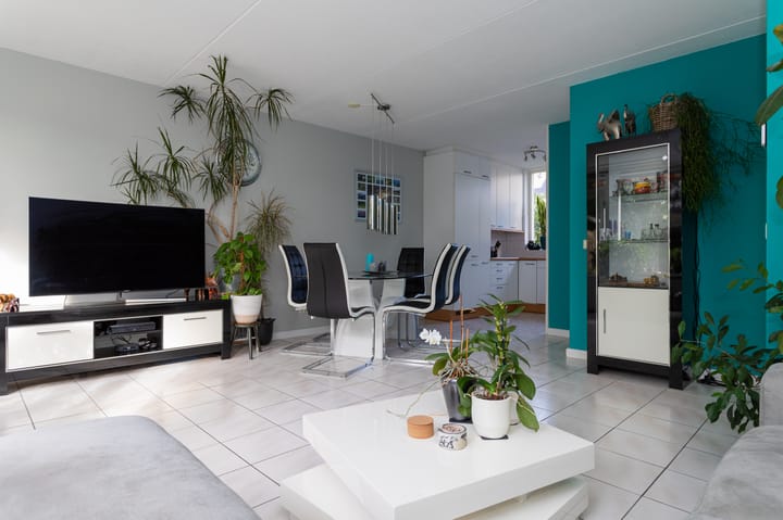 Foto 7 van Dorsvlegel 10