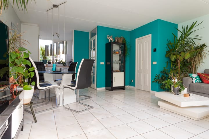 Foto 8 van Dorsvlegel 10