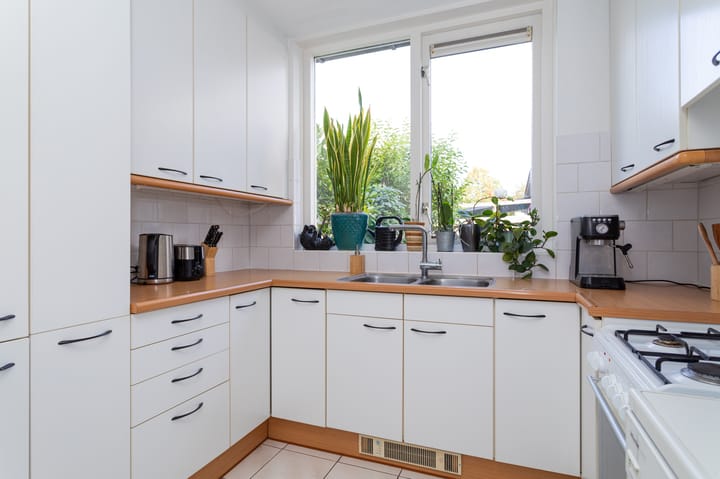 Foto 10 van Dorsvlegel 10