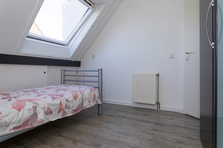 Foto 15 van Dorsvlegel 10