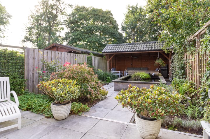 Foto 20 van Dorsvlegel 10