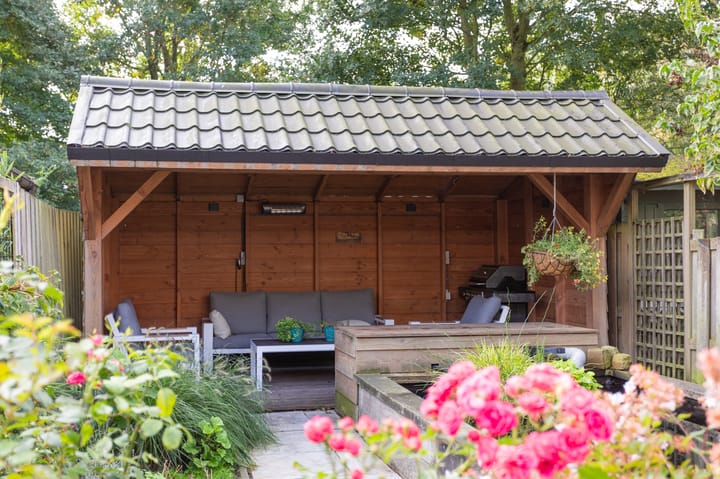 Foto 21 van Dorsvlegel 10