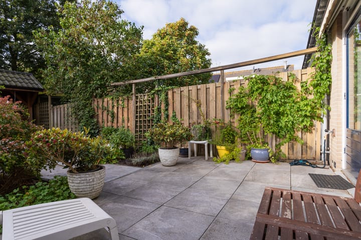 Foto 28 van Dorsvlegel 10