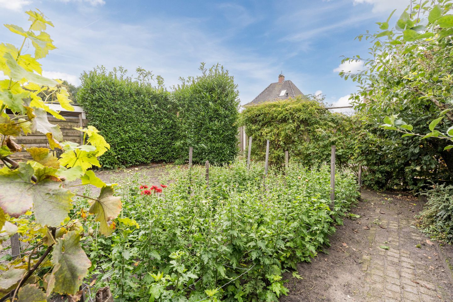 Foto 34 van Wethouder Potstraat 16