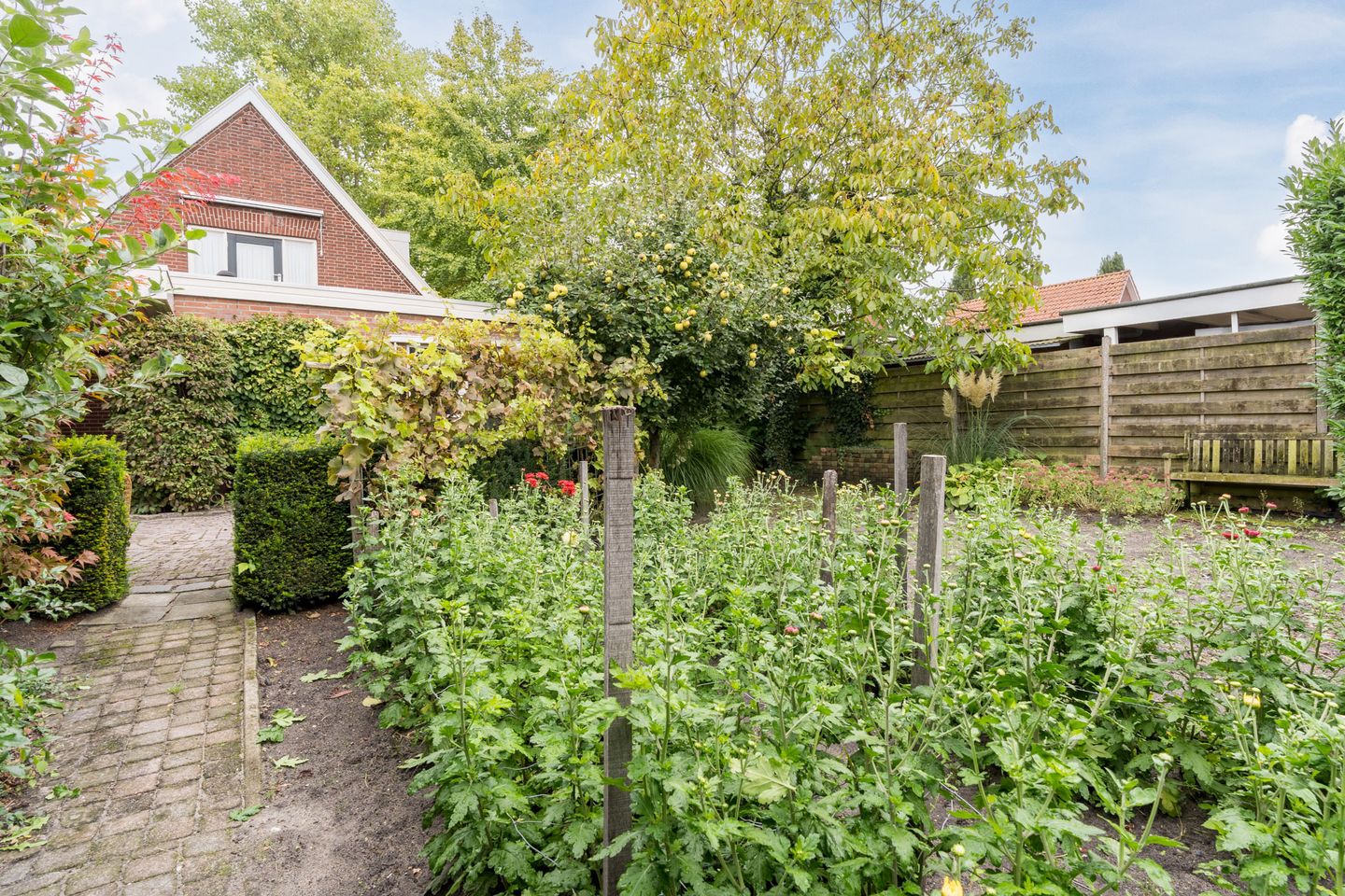 Foto 35 van Wethouder Potstraat 16