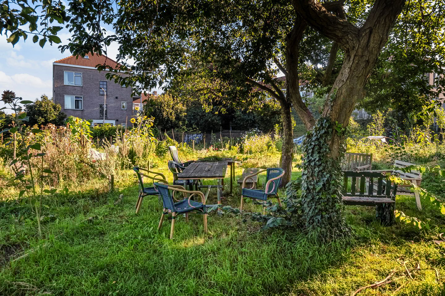 Foto 5 van Semmelinkstraat 12