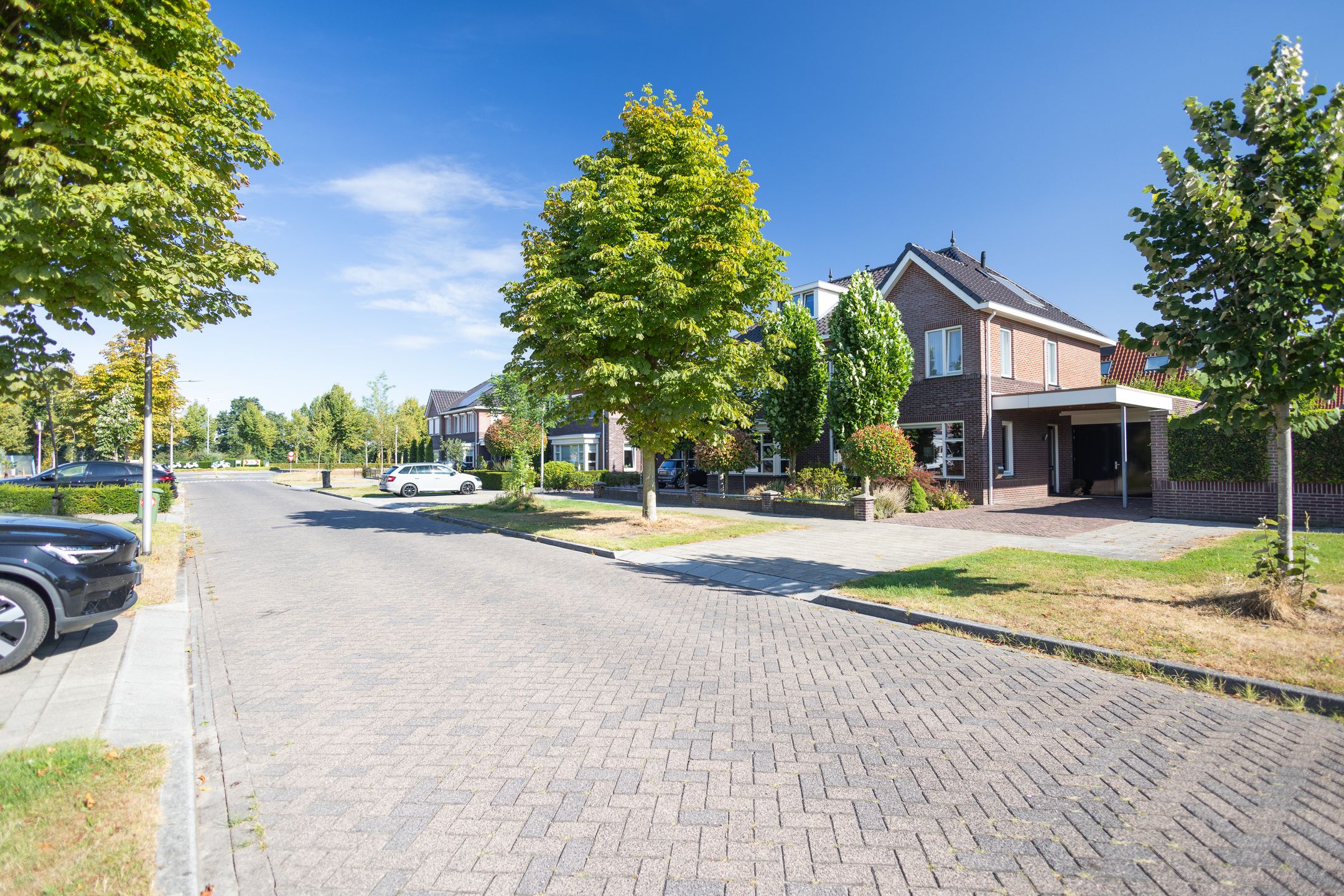 Foto 6 van Egelantier 2