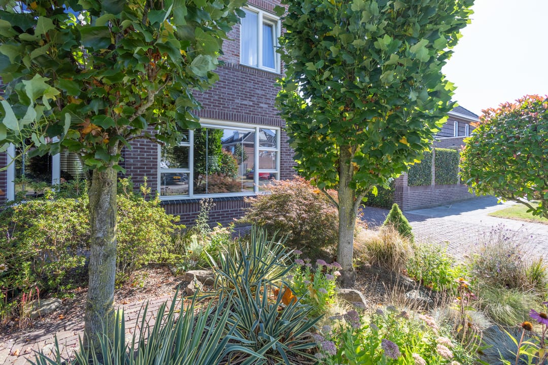 Foto 8 van Egelantier 2