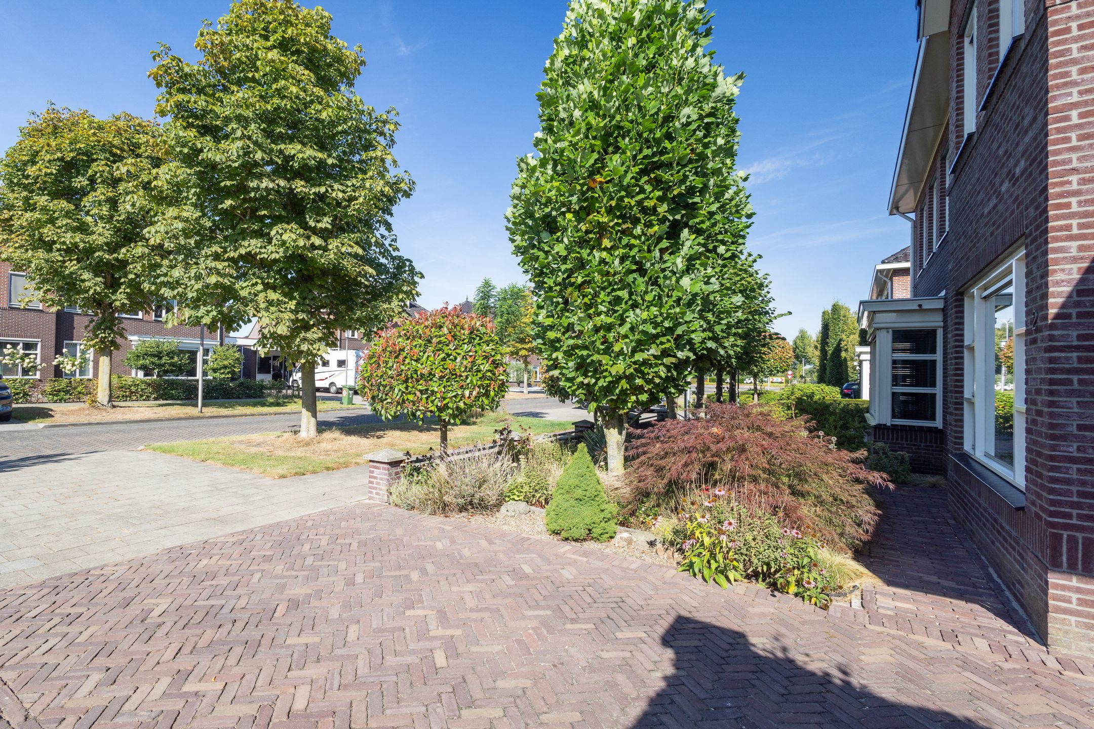 Foto 9 van Egelantier 2