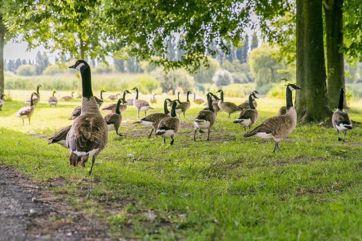 Photo 40 of Malberg 3