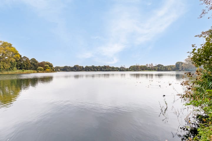 Foto 24 van Lagelandstraat 10