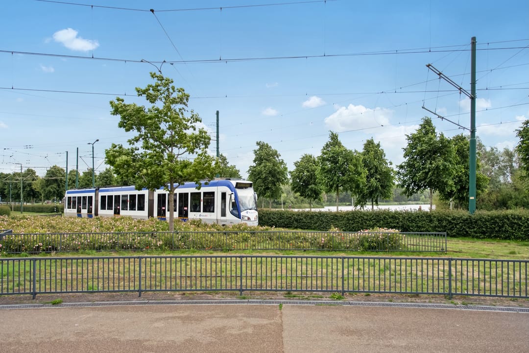 Photo 23 of Vuursteen 31