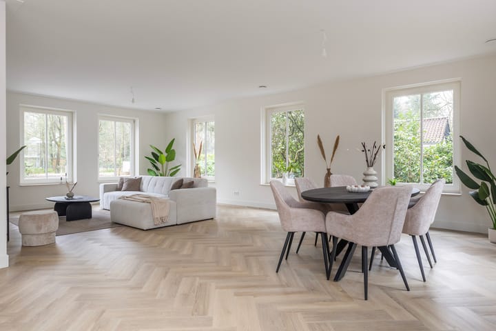 Foto 3 van Mesdaglaan 21