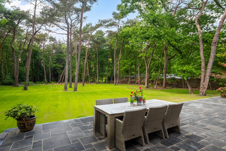 Foto 29 van Mesdaglaan 21