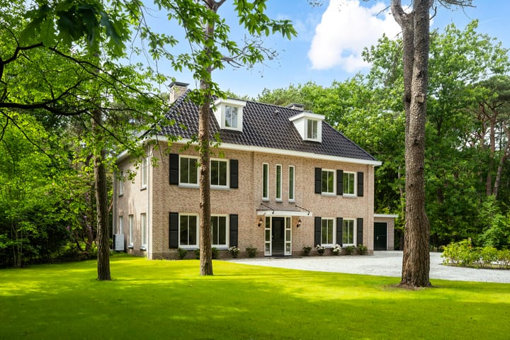 Foto 54 van Mesdaglaan 21