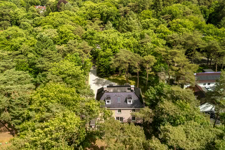 Foto 60 van Mesdaglaan 21