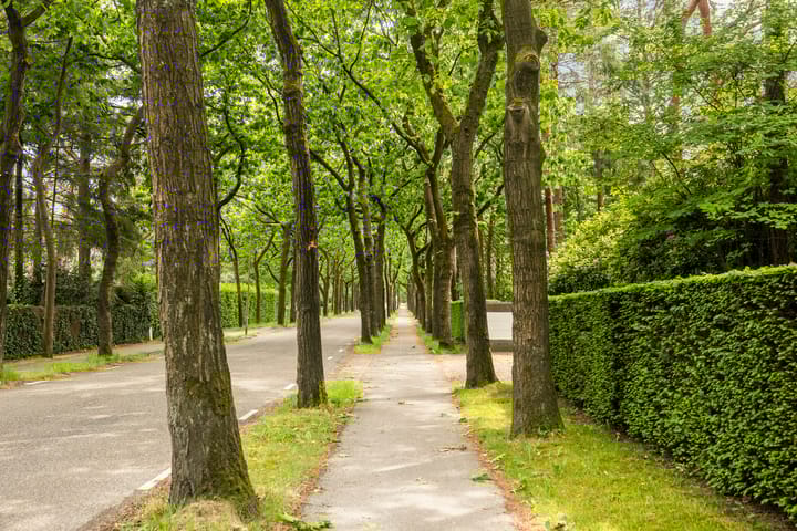 Foto 62 van Mesdaglaan 21