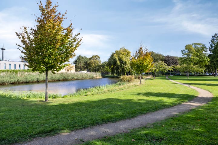 Foto 41 van Boksdoornstraat 21