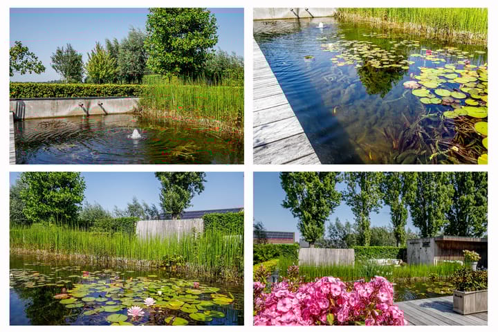 Foto 47 van Lopikerweg oost 86