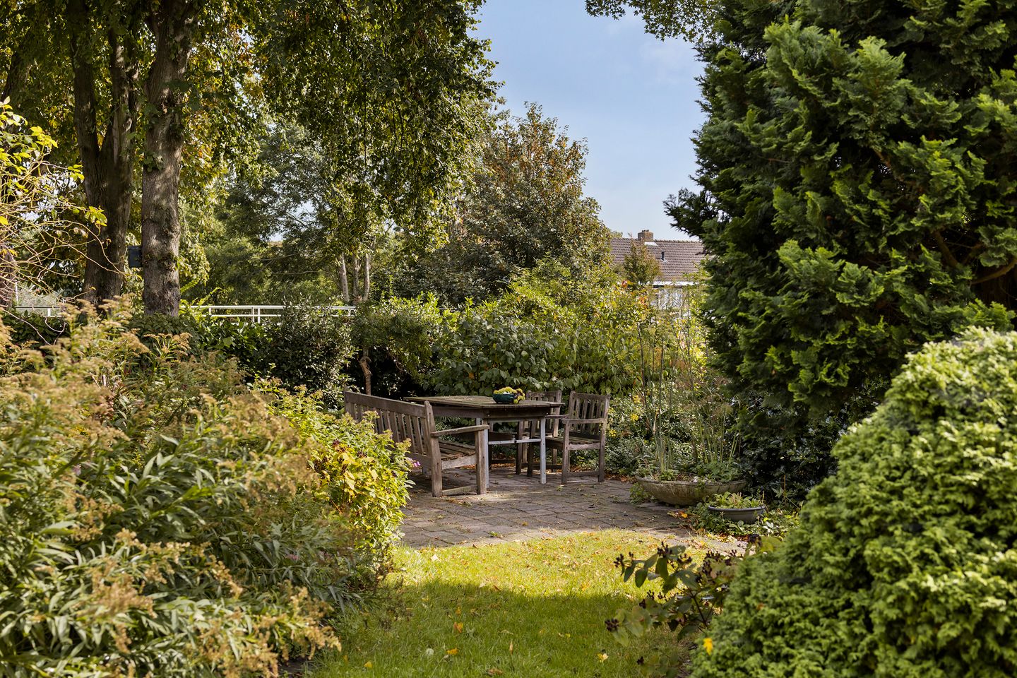 Photo 35 of Binnenpaed 46