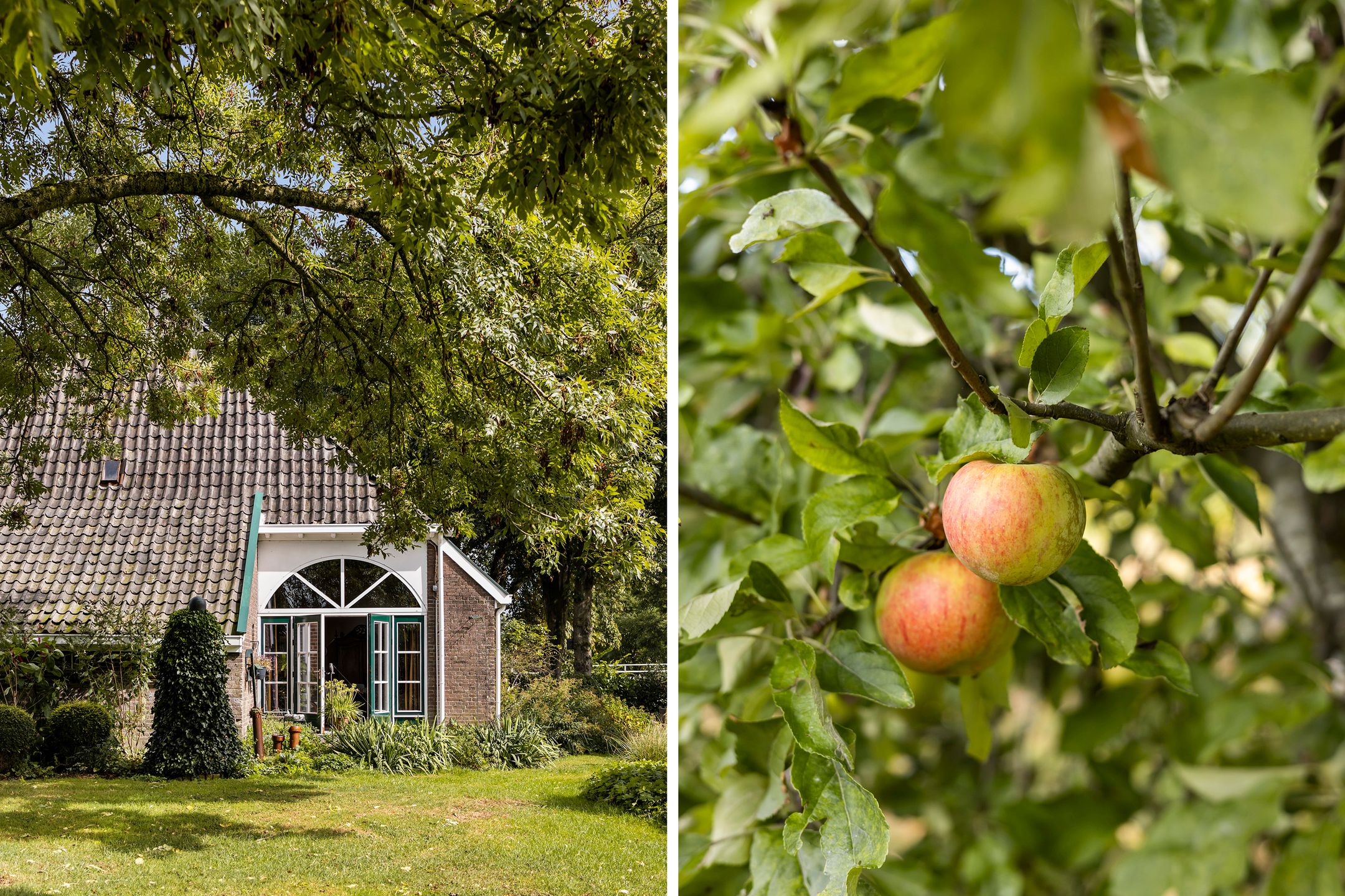 Photo 36 of Binnenpaed 46