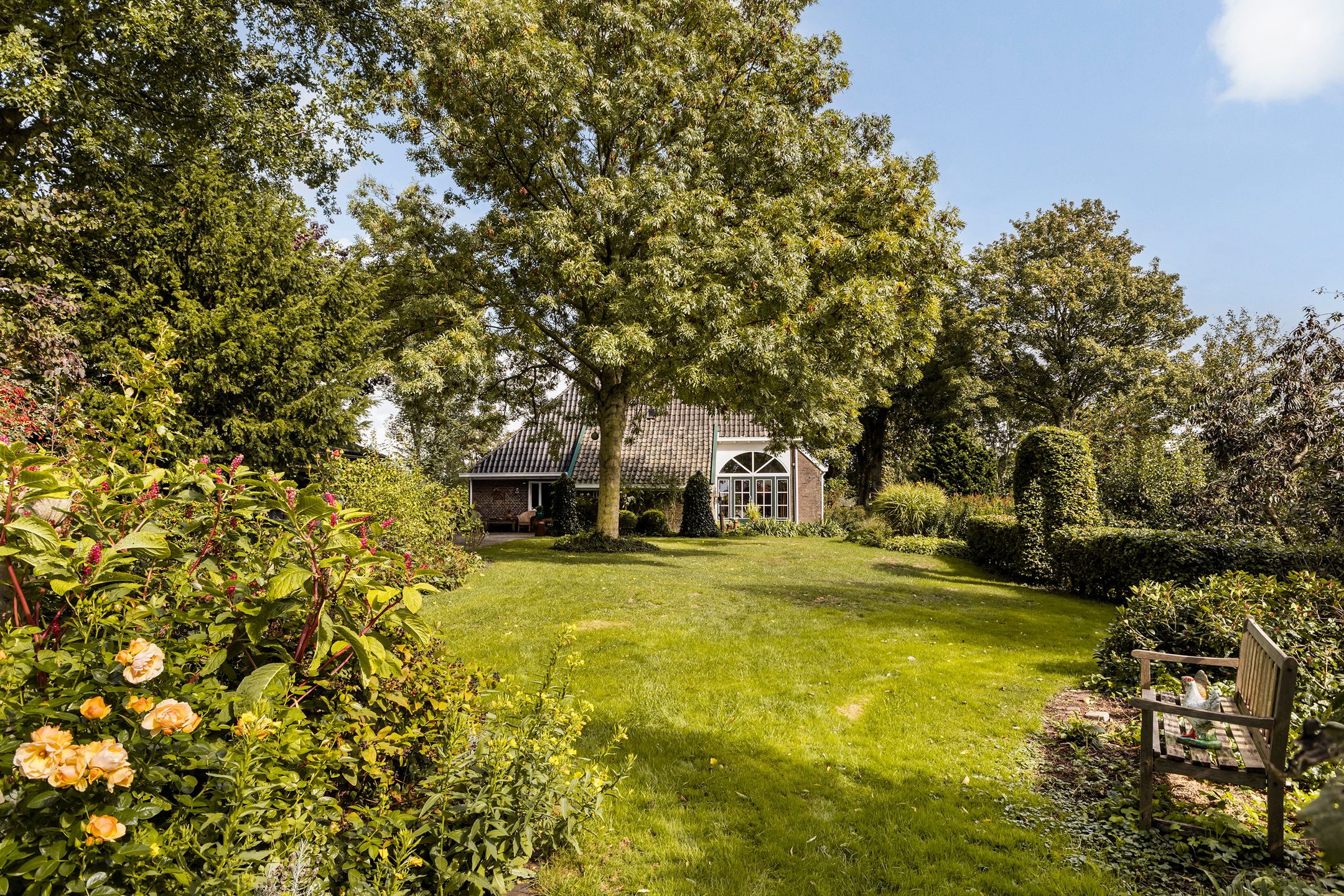 Photo 42 of Binnenpaed 46