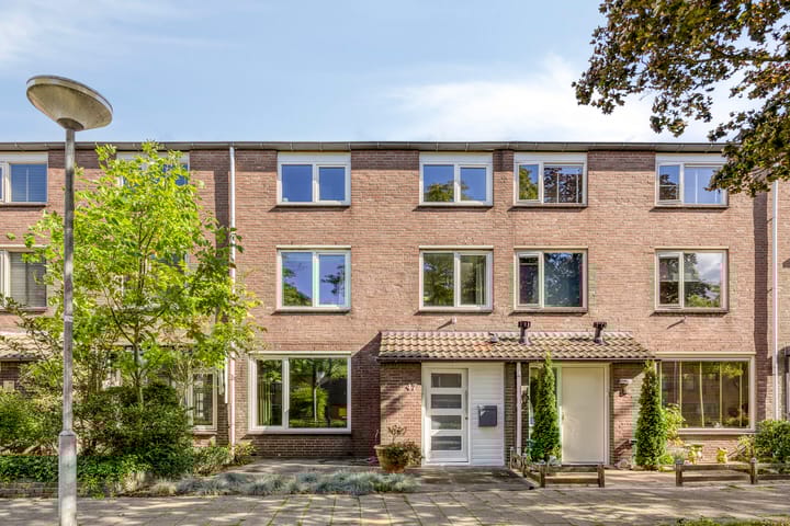 Seldensate 47 main image