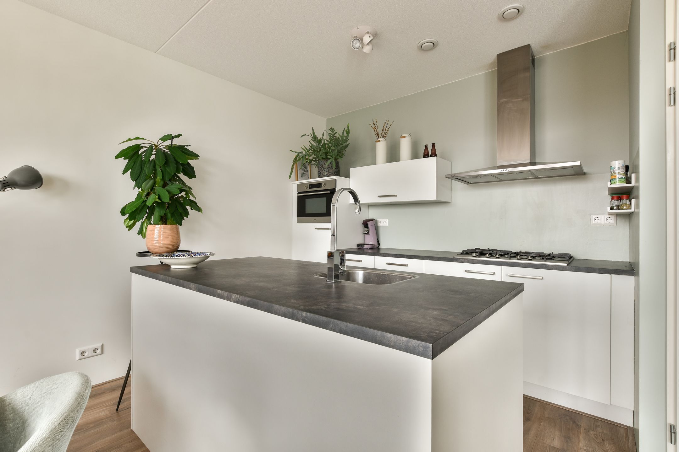 Photo 6 of Buxushaag 40