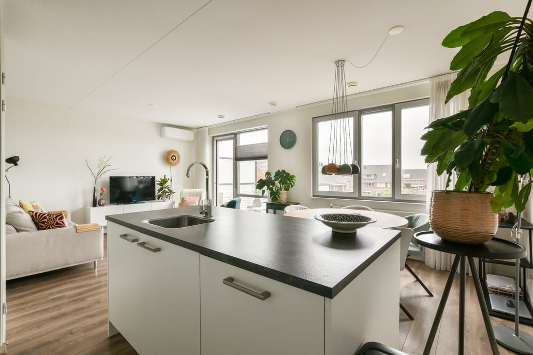 Photo 8 of Buxushaag 40