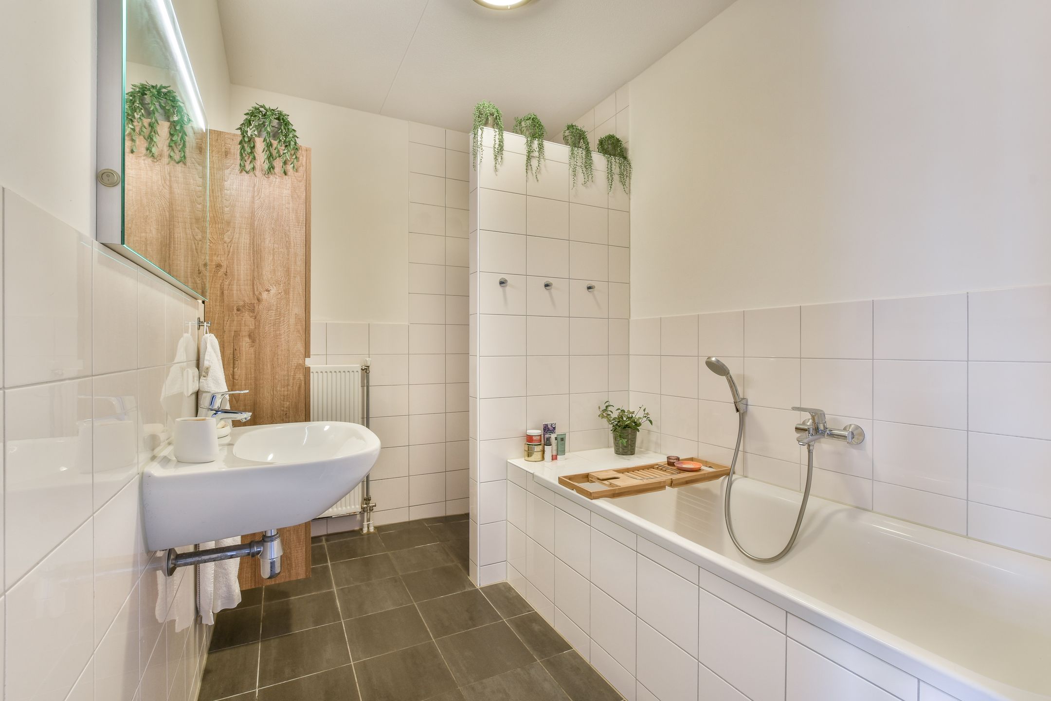 Photo 12 of Buxushaag 40