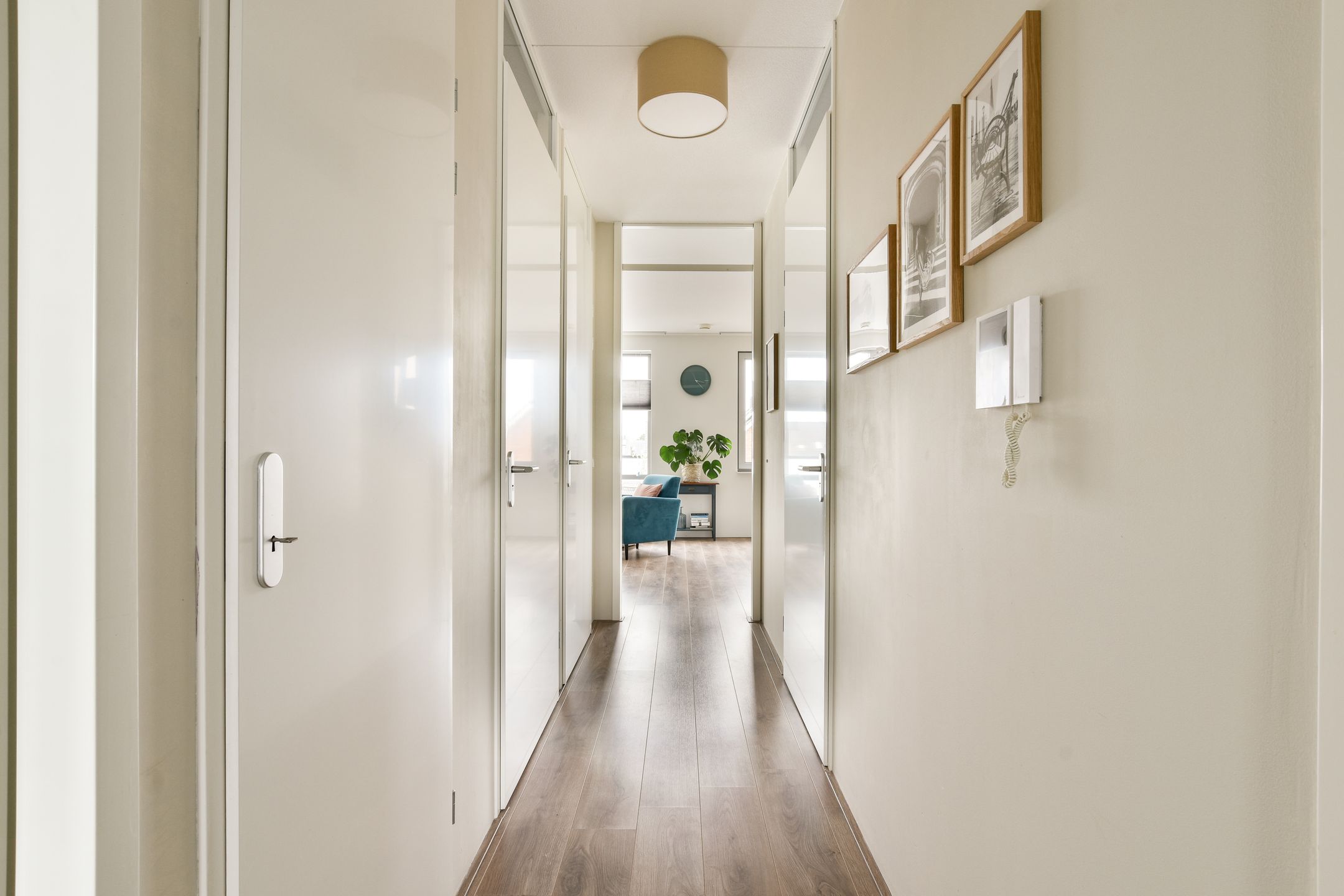 Photo 15 of Buxushaag 40