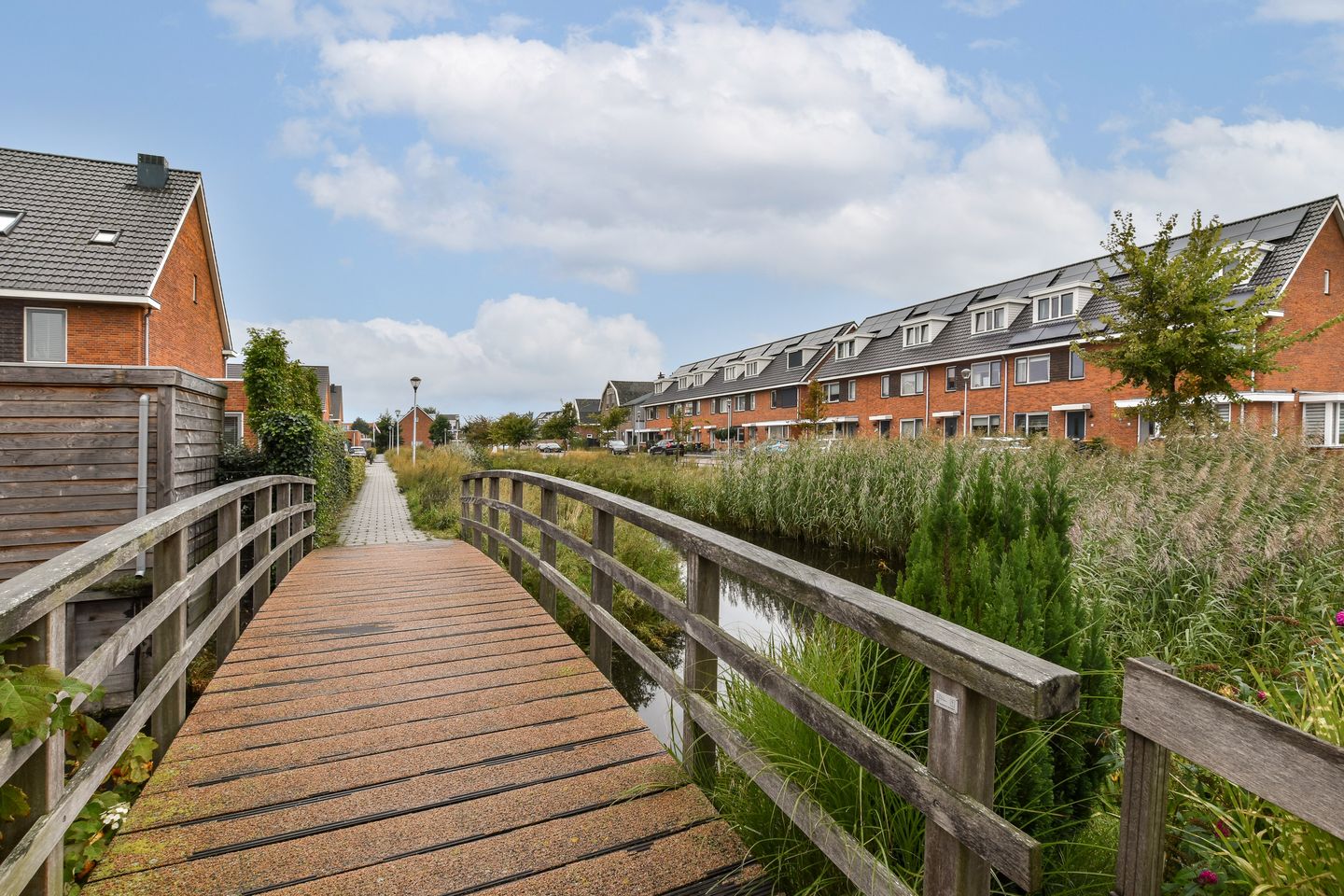 Photo 20 of Buxushaag 40