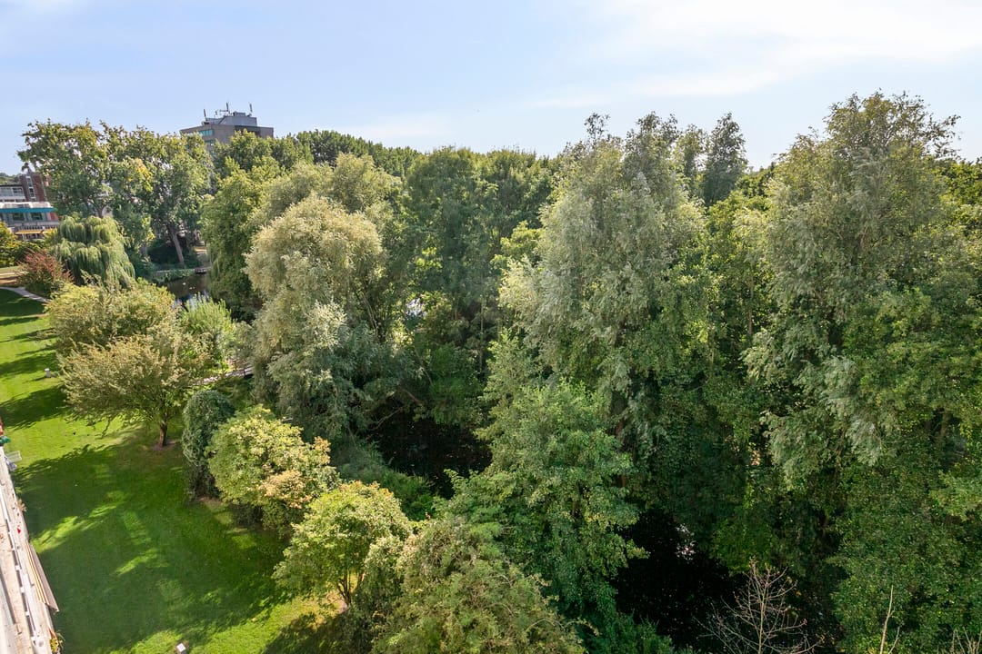 Foto 22 van Jacques Urlusplantsoen 361