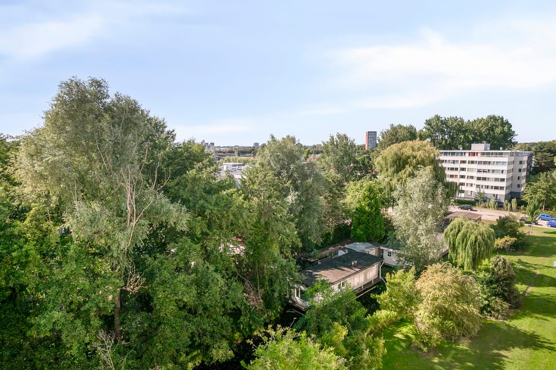 Foto 23 van Jacques Urlusplantsoen 361