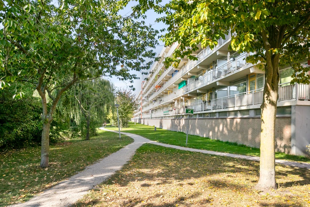 Foto 37 van Jacques Urlusplantsoen 361