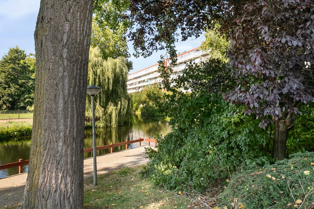 Foto 38 van Jacques Urlusplantsoen 361