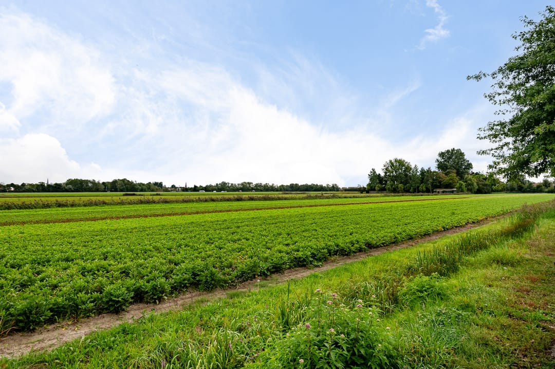 Foto 28 van Parallelweg 7