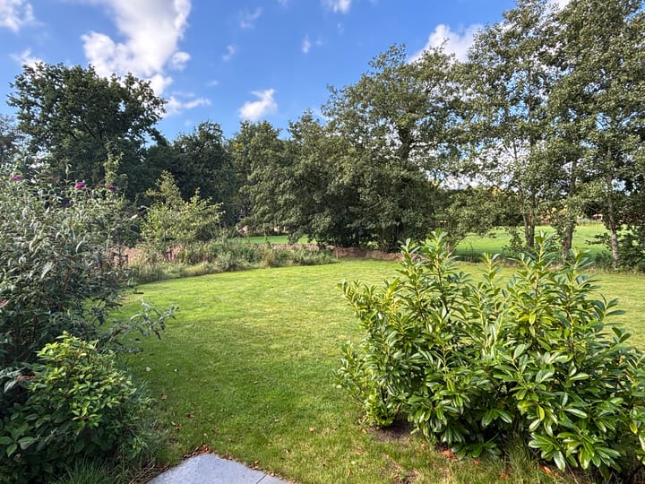 Photo 3 of Groene Allee 38-A