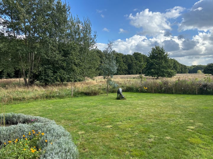 Foto 11 van Groene Allee 38-A