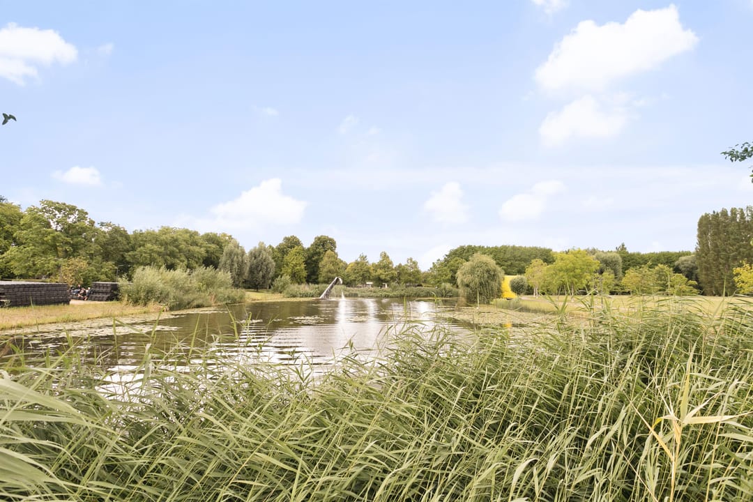 Foto 31 van Adriaen Willaertstraat 53