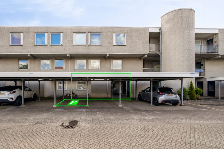 Foto 32 van Broederschap 37