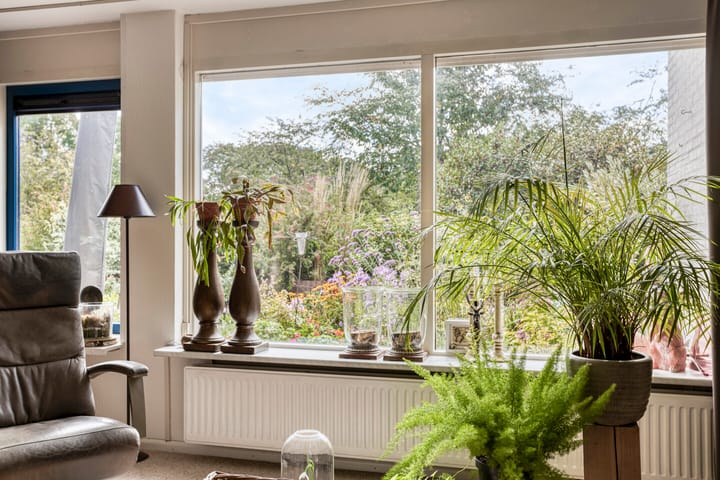 Foto 9 van Broederschap 37