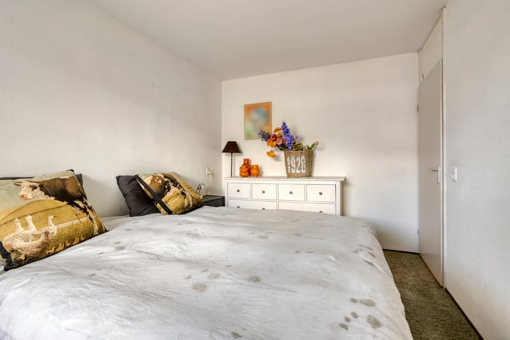 Foto 21 van Broederschap 37