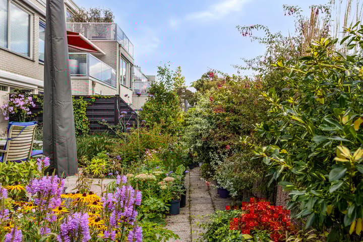 Foto 28 van Broederschap 37