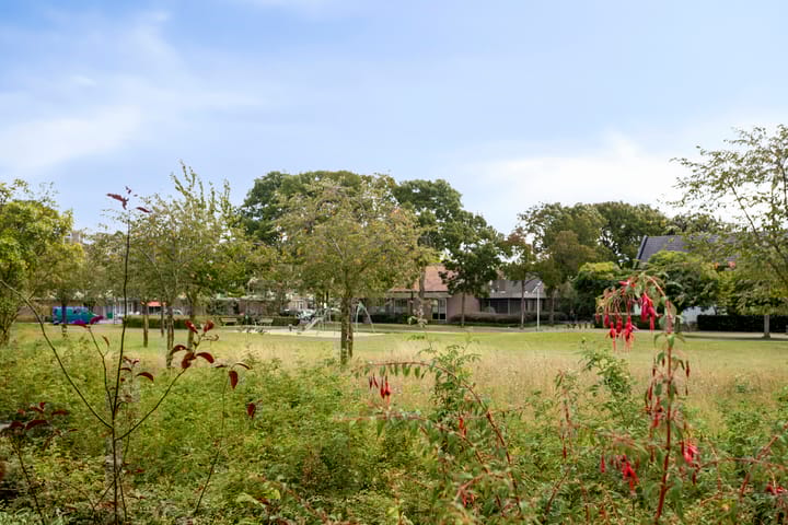 Foto 29 van Broederschap 37