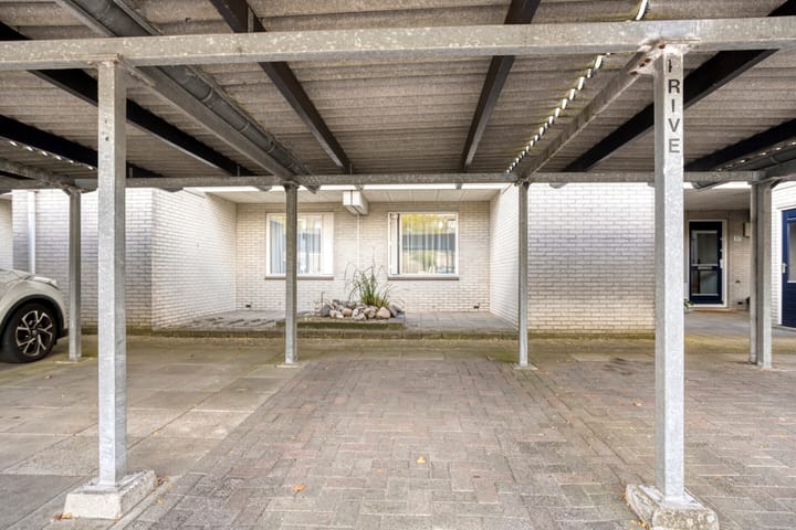 Foto 30 van Broederschap 37