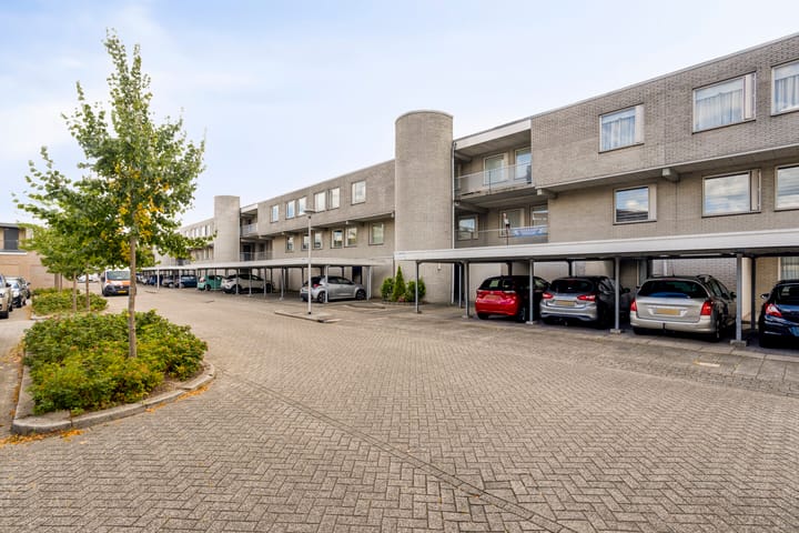 Foto 34 van Broederschap 37