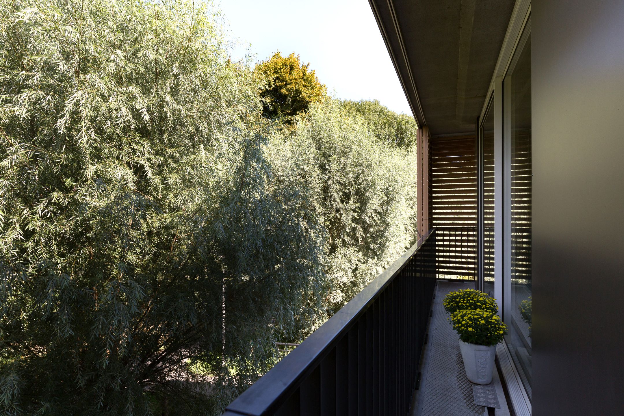 Foto 18 van Smitshoek 68