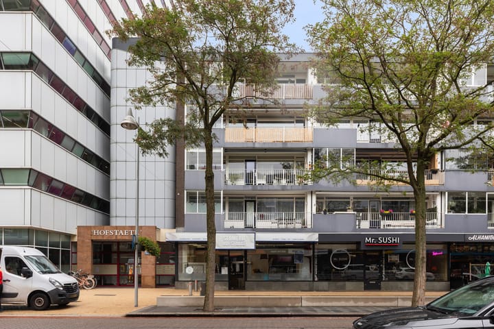 Foto 42 van Hofstraat 84